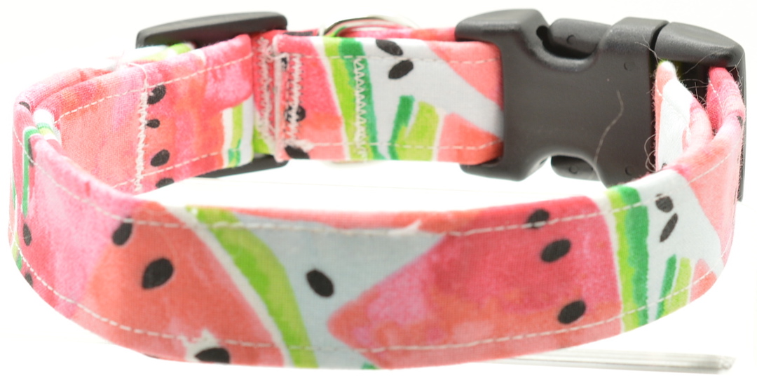 Dog Collar World Watermelon Collar